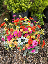 Load image into Gallery viewer, Summer rustic  (TROUGH FLOWER BOX) FREE P&amp;
